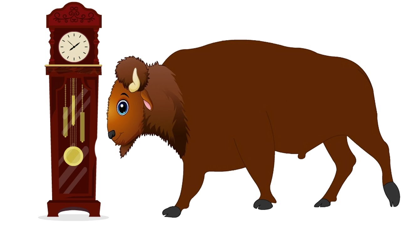 Hickory Dickory Dock African buffalo -Preschool Songs for Circle Time