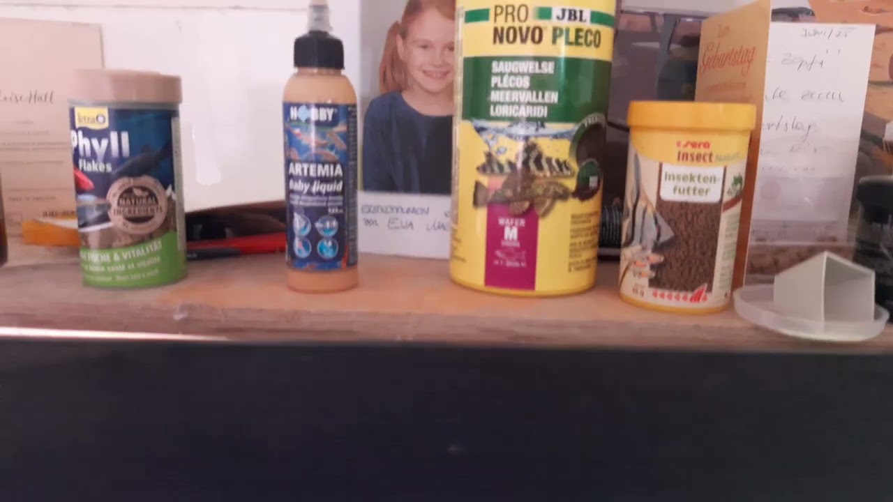 Aquarium room tour 01.01.2026
