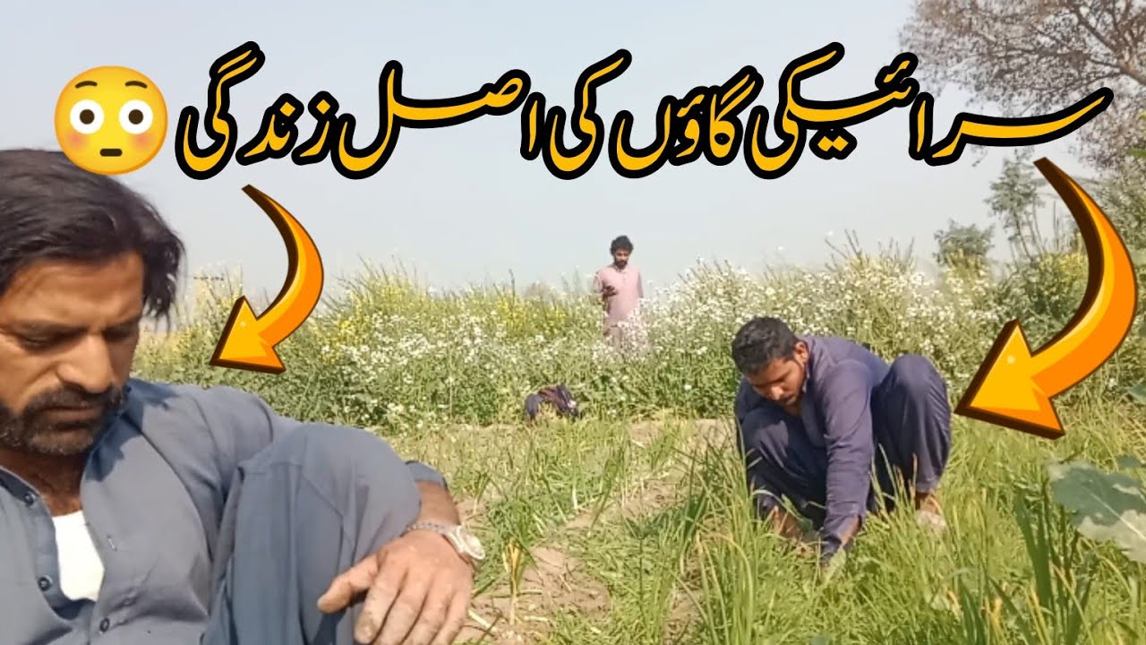 Sariki gaon ki asal zindagi || Sariki Journey 