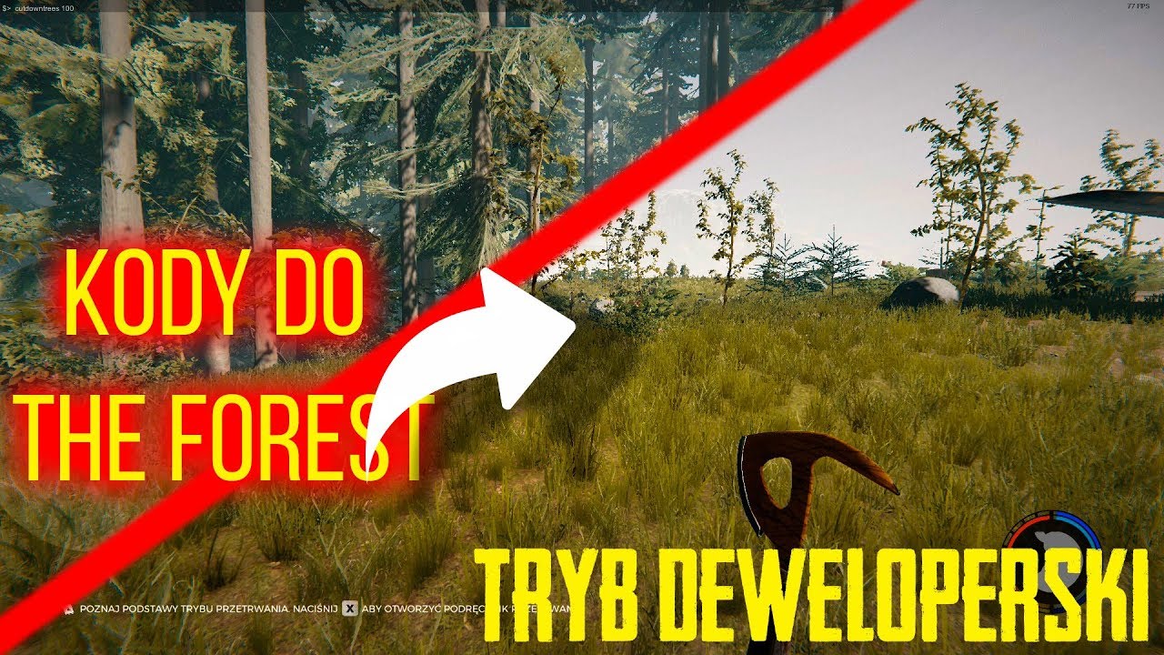 TRYB DEWELOPERSKI, CZYLI KODY DO THE FOREST! - THE FOREST #46