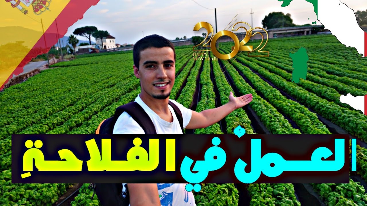 كل ما تحتاج معرفته عن الفلاحة بدول أوربية  ثمن العمل في الفلاحة ؟ وهل العمل بدون أوراق الإقامة ؟