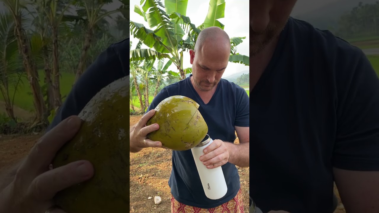 Bapak bule kalo haus di kampung tinggal panjat pohon 😁 #shorts