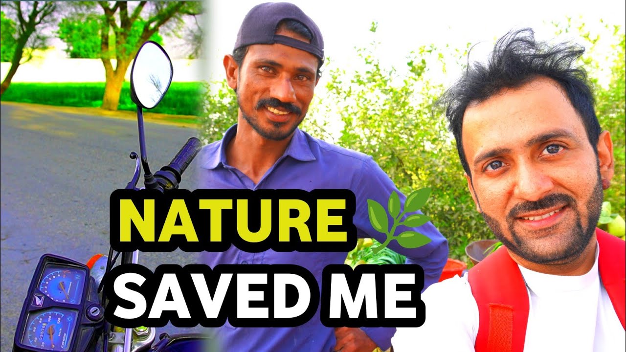 I Went Solo: A Life-Changing Conversation with Nature 🏔️✨