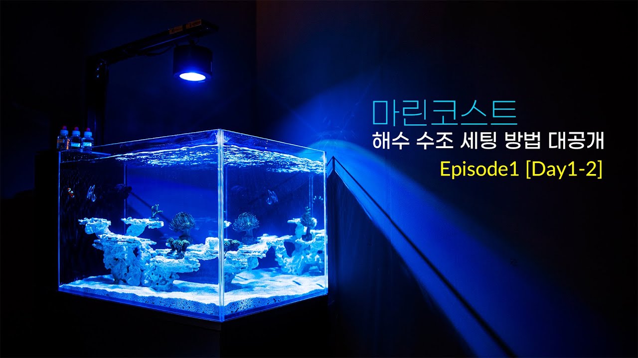 마린코스트 해수 세팅 대공개! - 1편 (1일차~2일차)