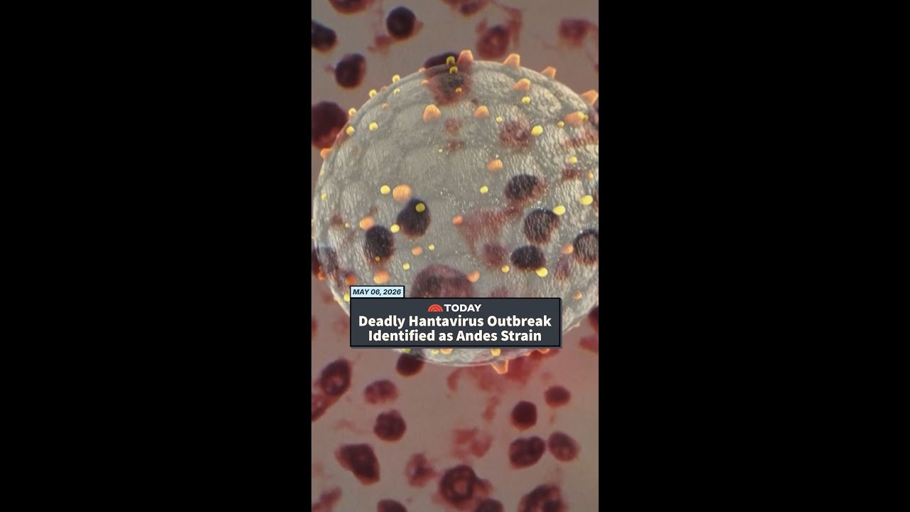 Deadly Hantavirus Outbreak Identified as Andes Strain