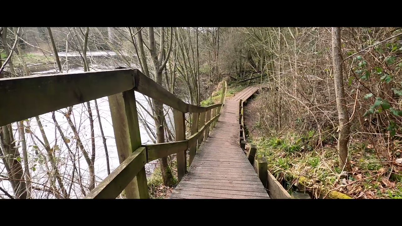 River Ayr Walk, Failford to Ayr