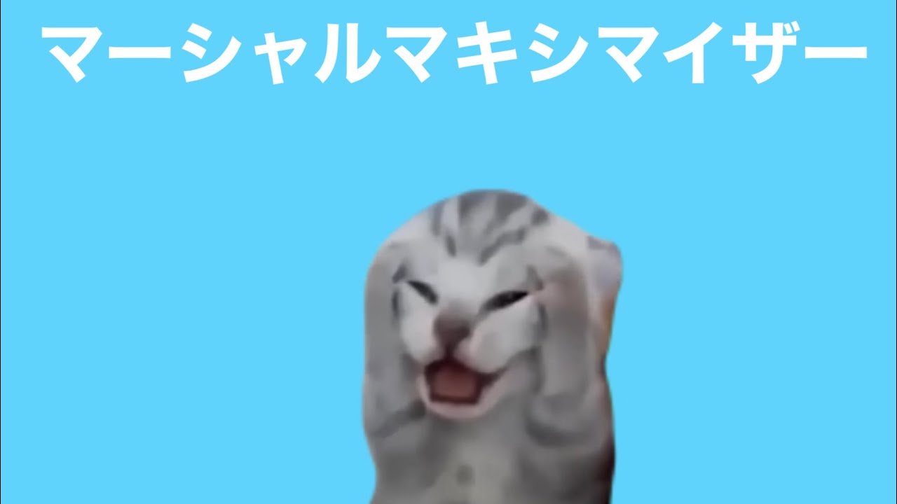 【音MAD】猫ミームで『マーシャルマキシマイザー』作ってみた
