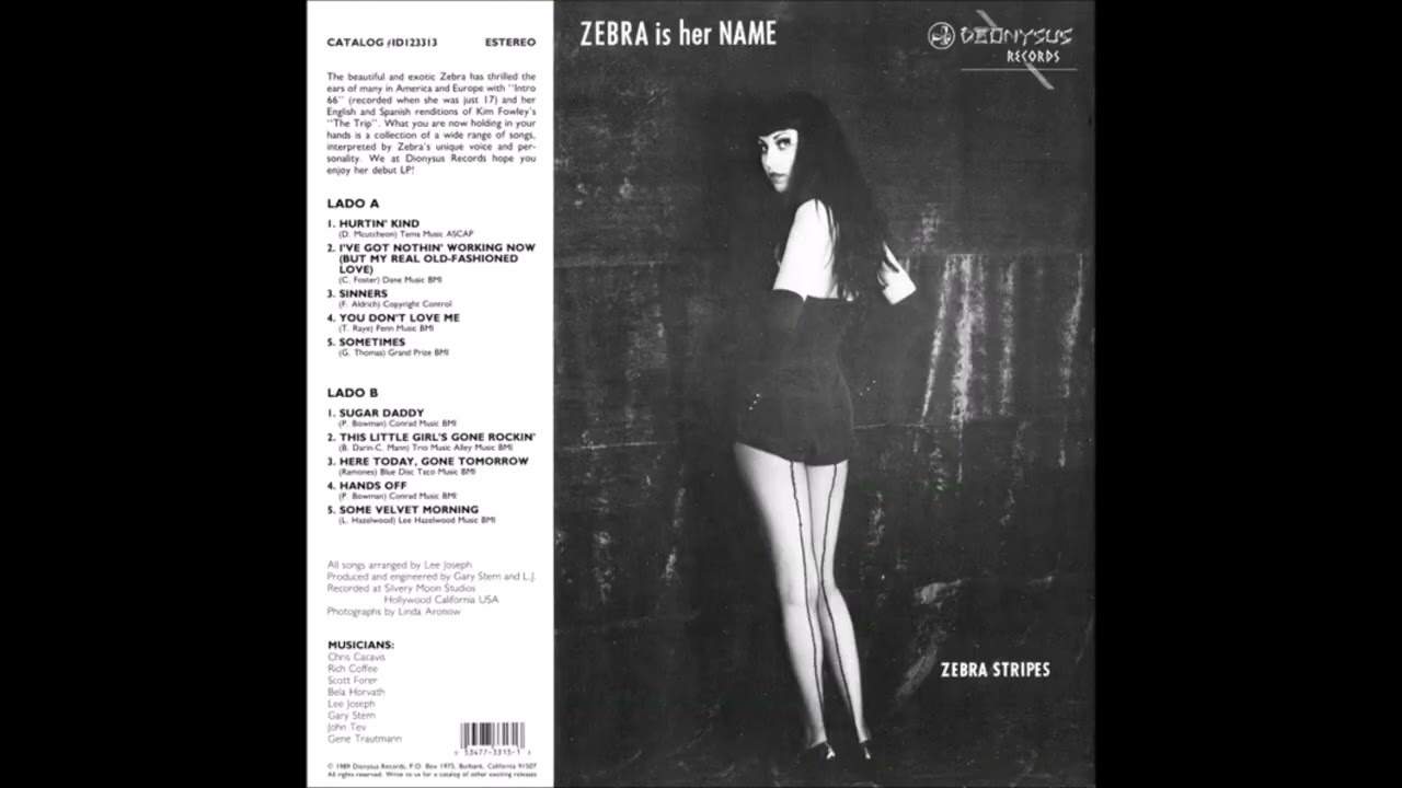 Zebra Stripes - Zebra Is Her Name (1989)