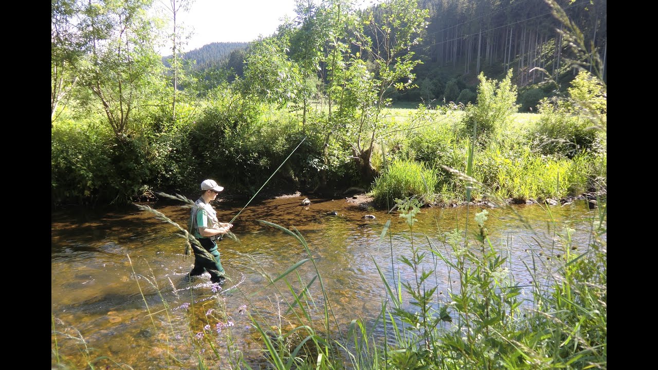 Erfolgreiches Forellenangeln - mit der Fliegenrute am Bach