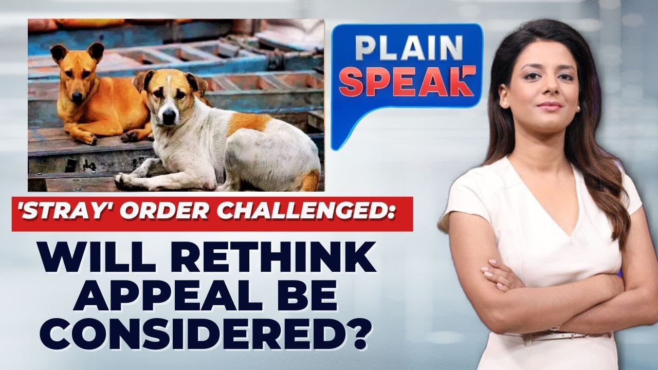 Supreme Court's Stray Dog Dilemma: Balancing Public Safety and Animal Rights | #plainspeak | News18