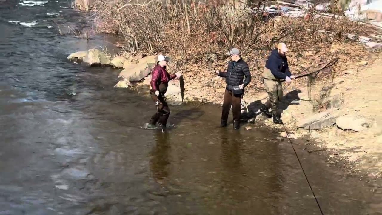 Steelhead fishing Report at Salmon River,Altmar,NY -02-27-2024