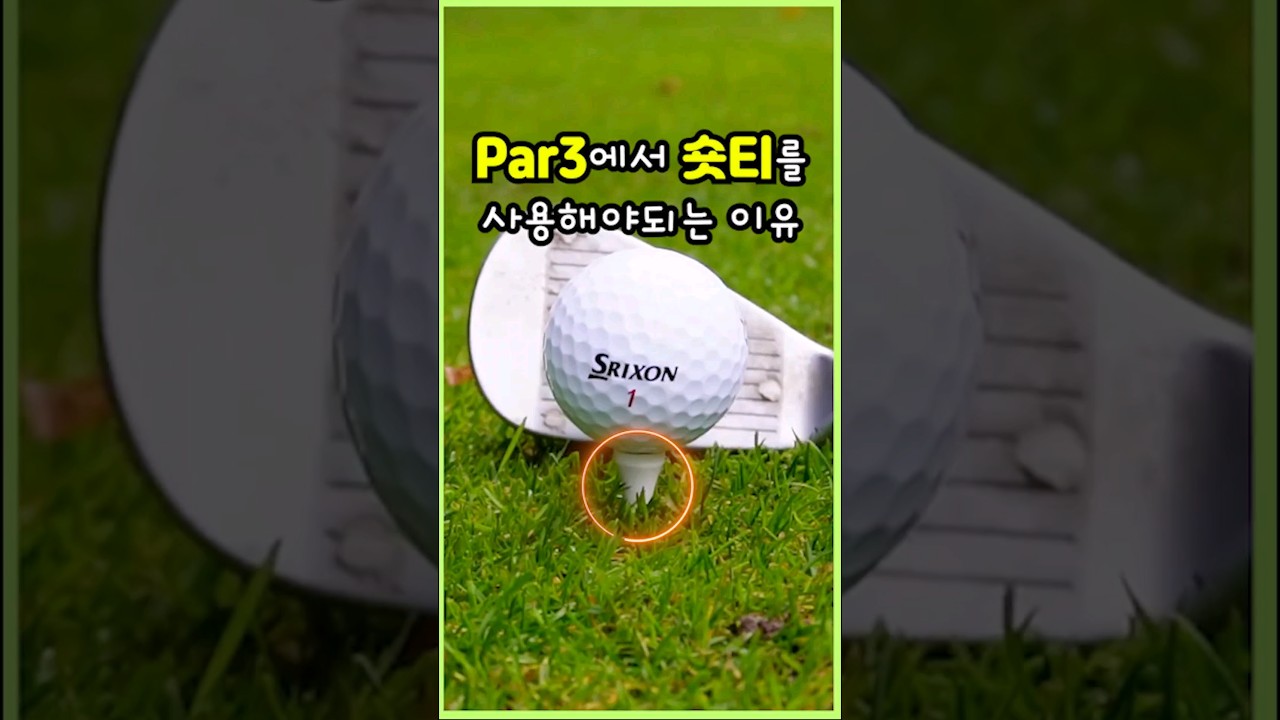 Par3에서 숏티를 쓰는이유