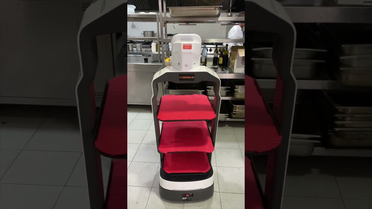 Robot Camarero Luckybot en Timon de Roche