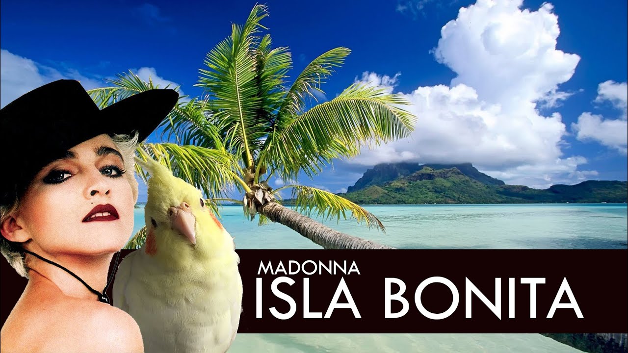 Isla Bonita - Madonna - Whistle - Silbada - Educa Tu Ninfa