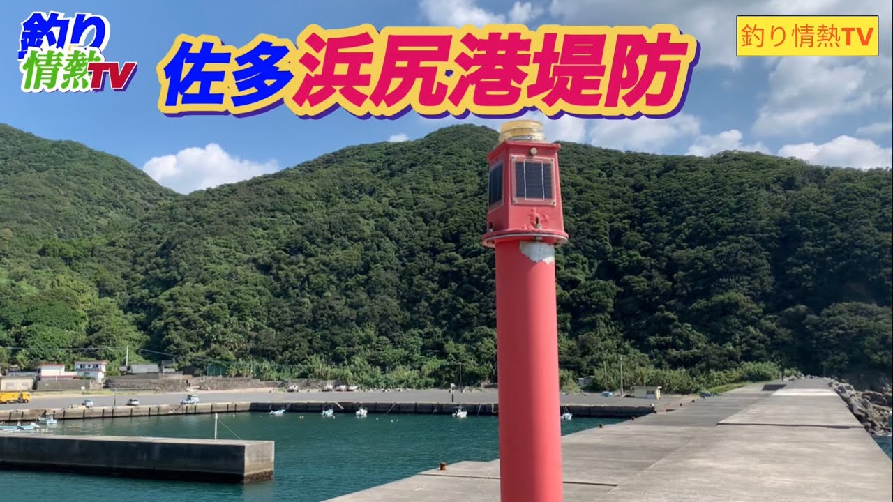 佐多浜尻港堤防はとんでもない魚ばかり‼️佐多岬❗️鹿児島の釣り　#鹿児島釣り #釣り情熱tv #カゴ釣り