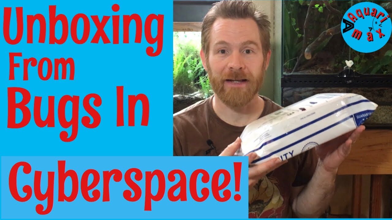 Unboxing from Bugsincyberspace!