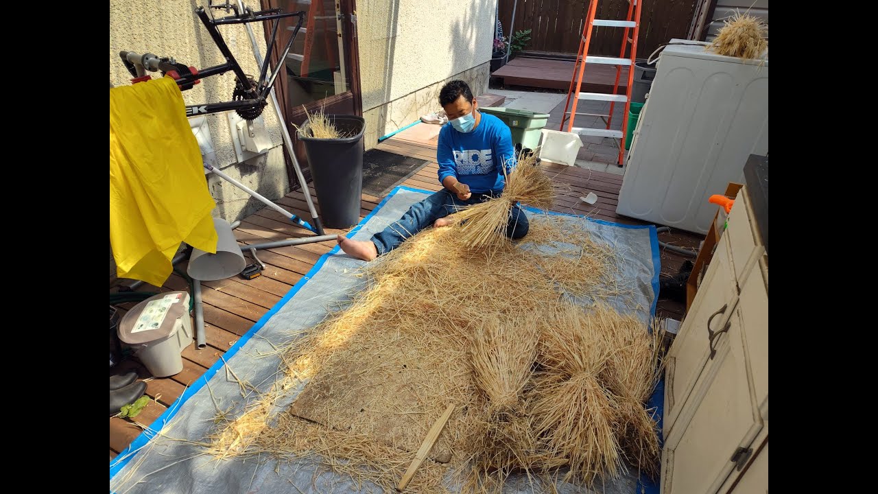 Farmer making Tsampa (Tibetan barley flour)