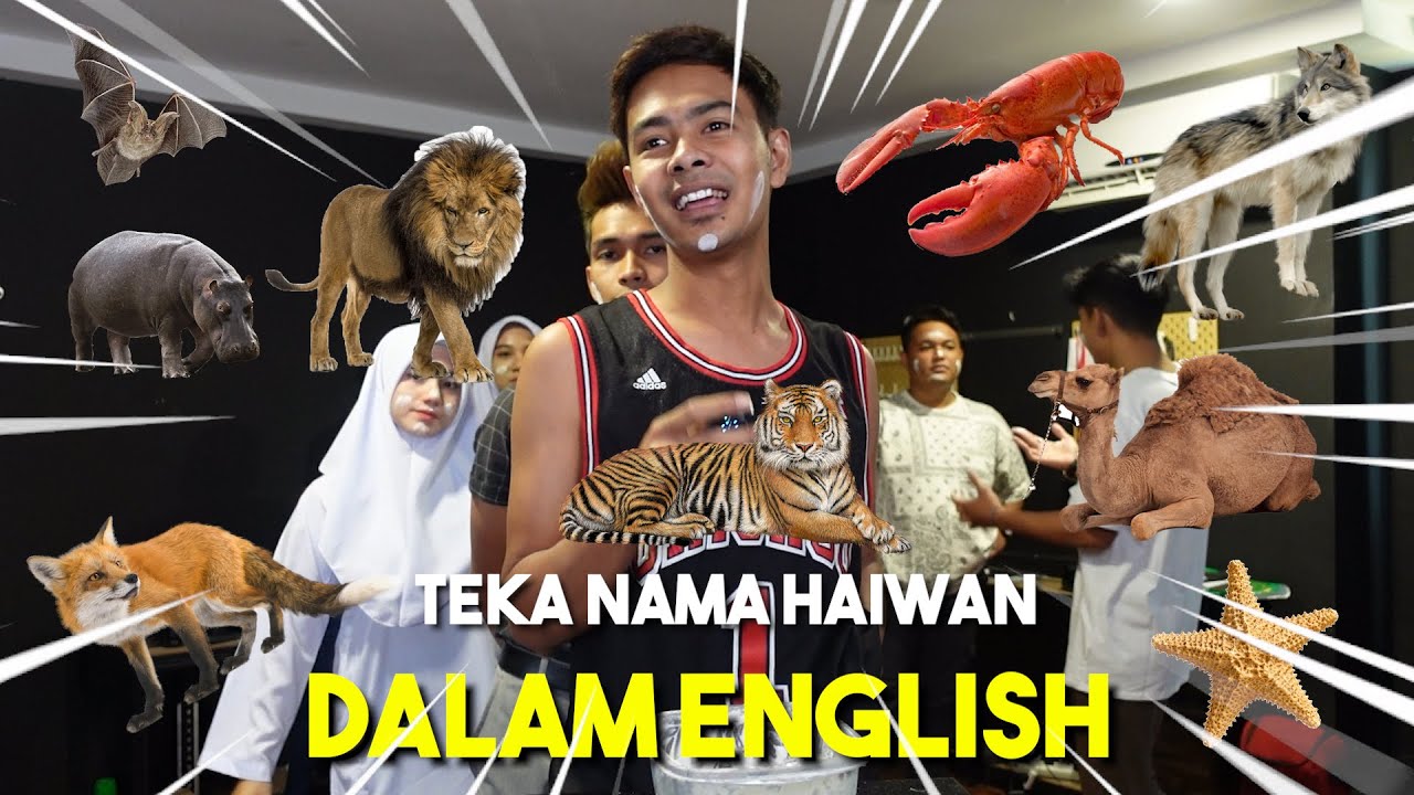 TEKA NAMA HAIWAN YANG ADA DUNIA DALAM BAHASA INGGERIS !!!