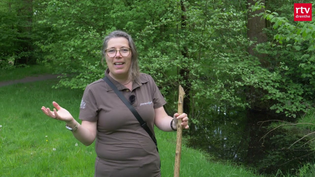 Veldwerk | Bevers in de stad