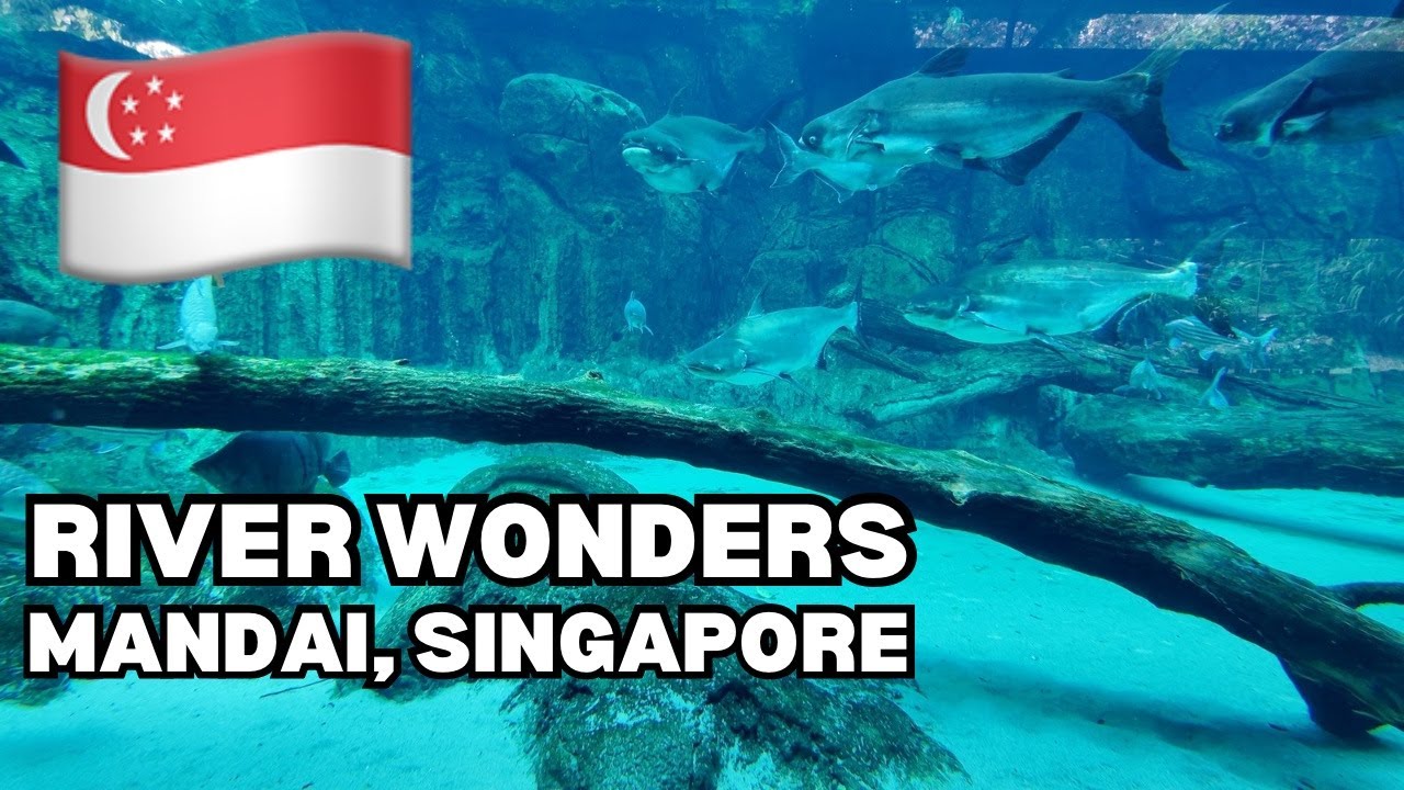 River Wonders, Mandai Singapore - great video for cats