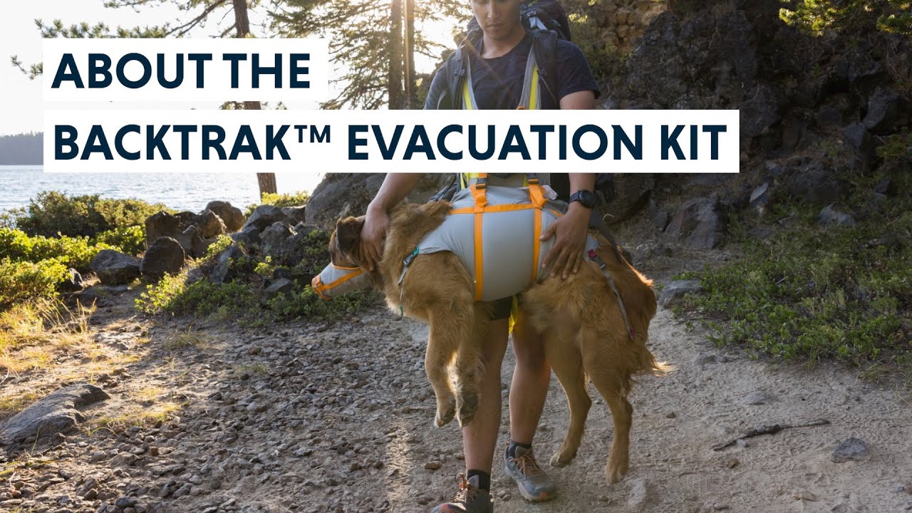 О комплекте для эвакуации собак Ruffwear BackTrak™