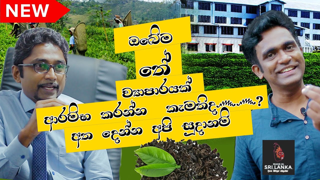 Samrin tea factory visit