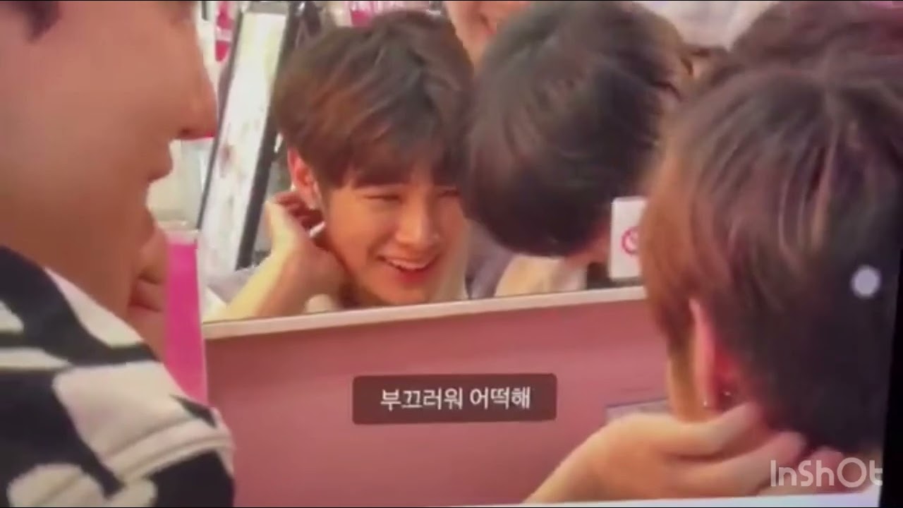 Cutie pie in Japan