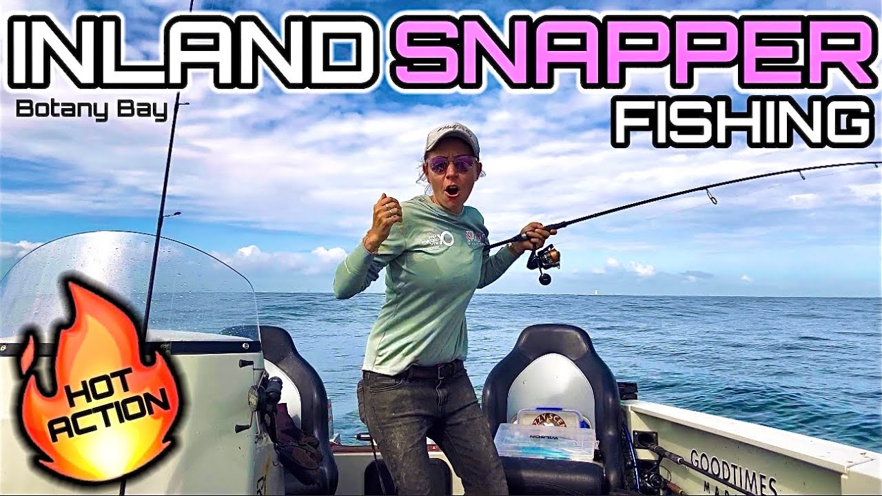 SNAPPER FISHING: Crazy Snapper Session Inside Botany Bay Headlands using BAITS!