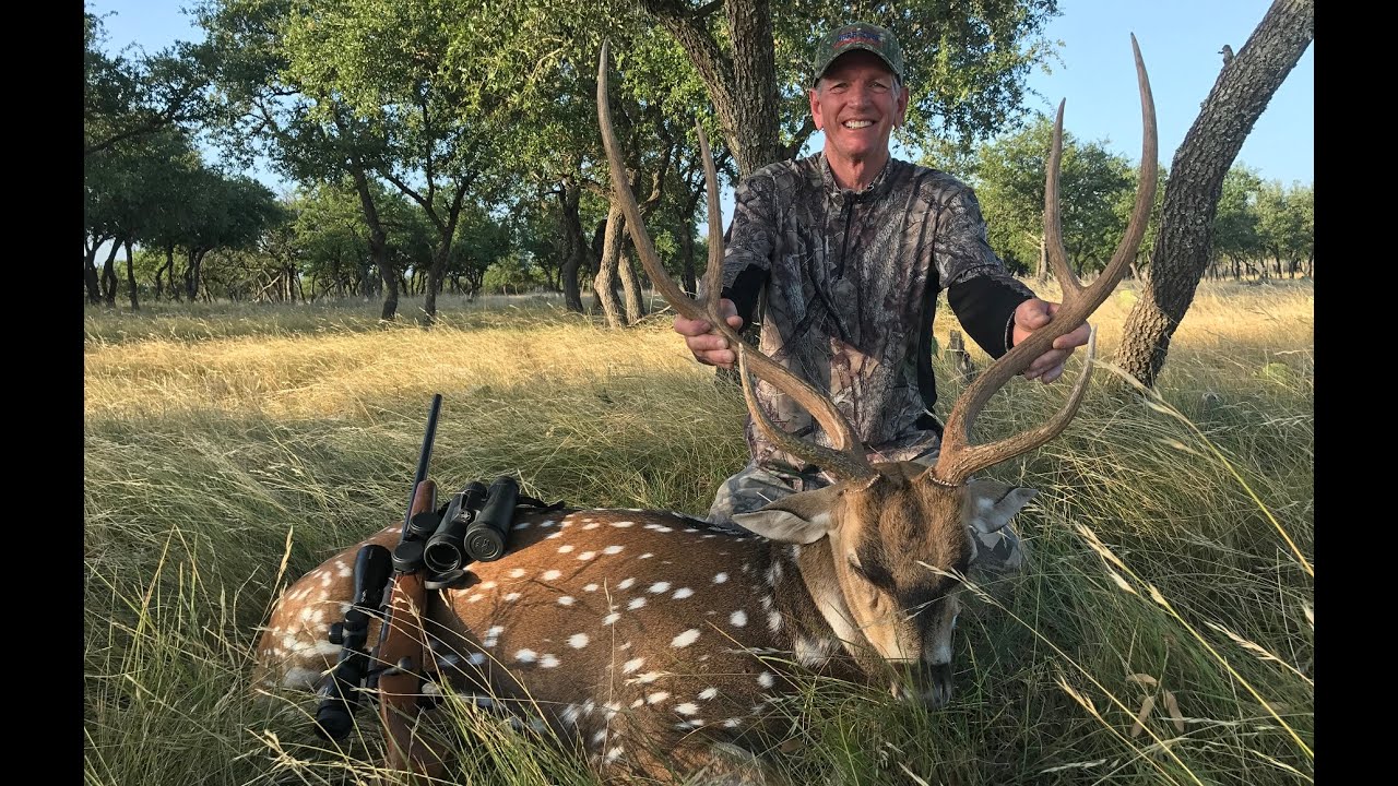 Giant Free Range Axis Buck LSSTA S3 EP 9