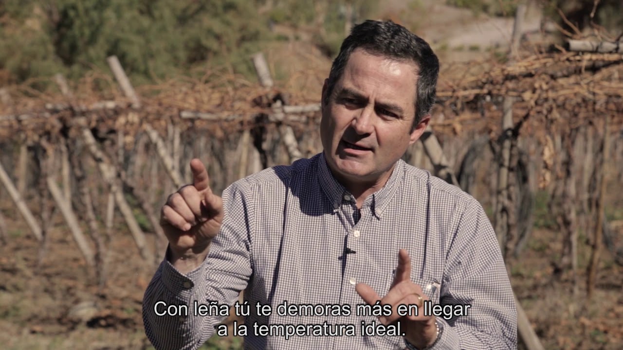 Testimonial Pisco Cogotí
