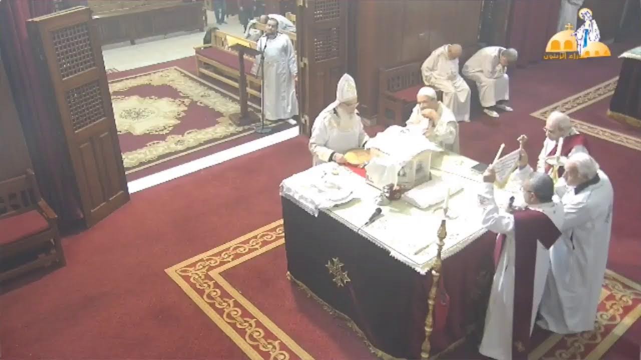 قداس اليوم السابع من شهر طوبة من كنيسة العذراء مريم الزيتون 15-1-2026