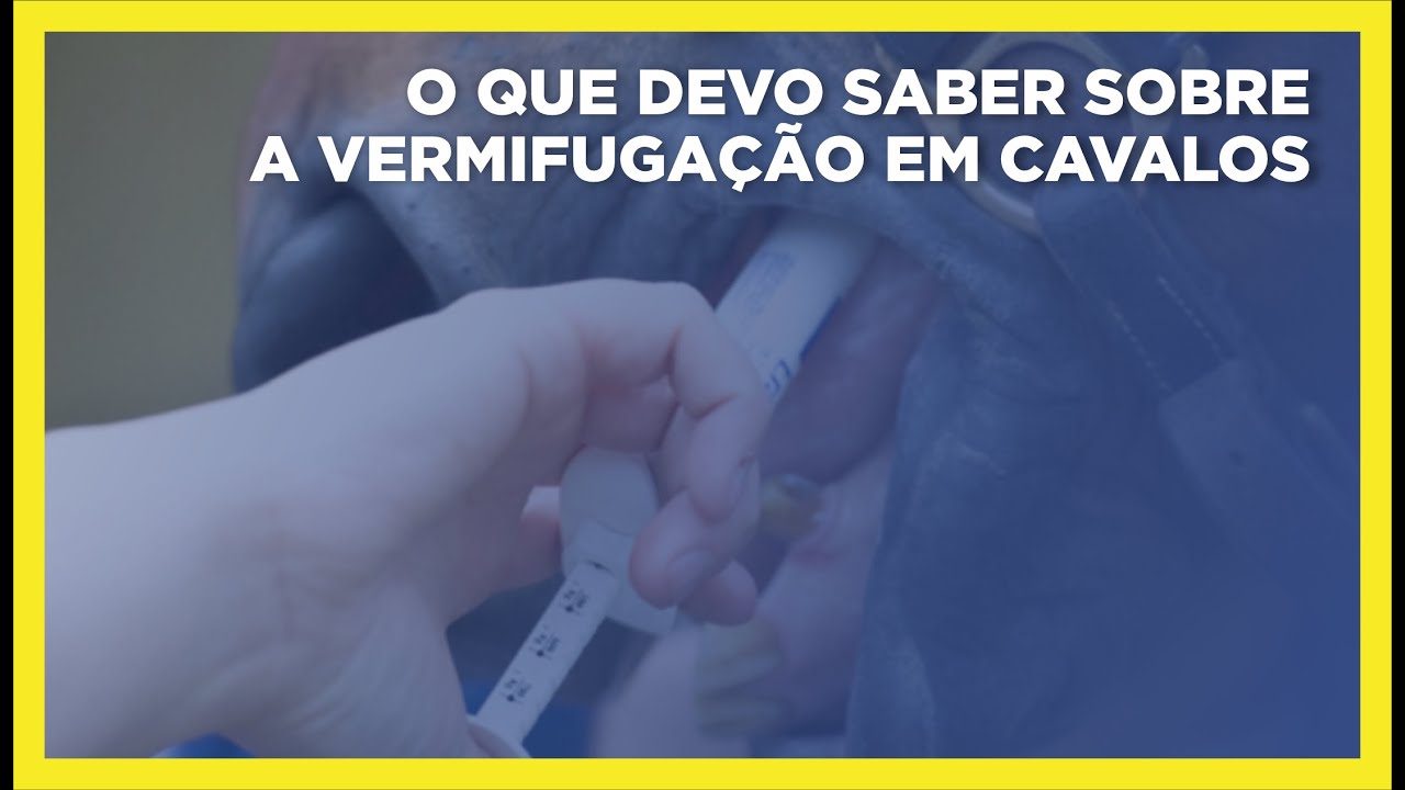 O que você precisa saber sobre a vermifugação em cavalos