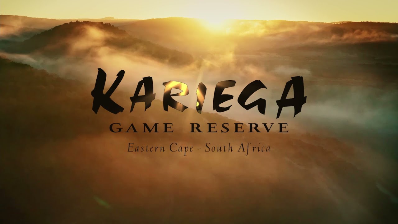 Kariega Game Reserve | Big 5 African Safaris & Luxury Lodges