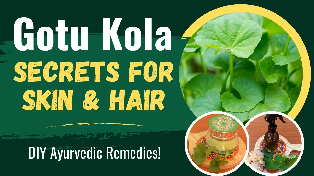 Gotu Kola Benefits for Glowing Skin & Hair | DIY Ayurvedic Remedies at Home | Panchayu