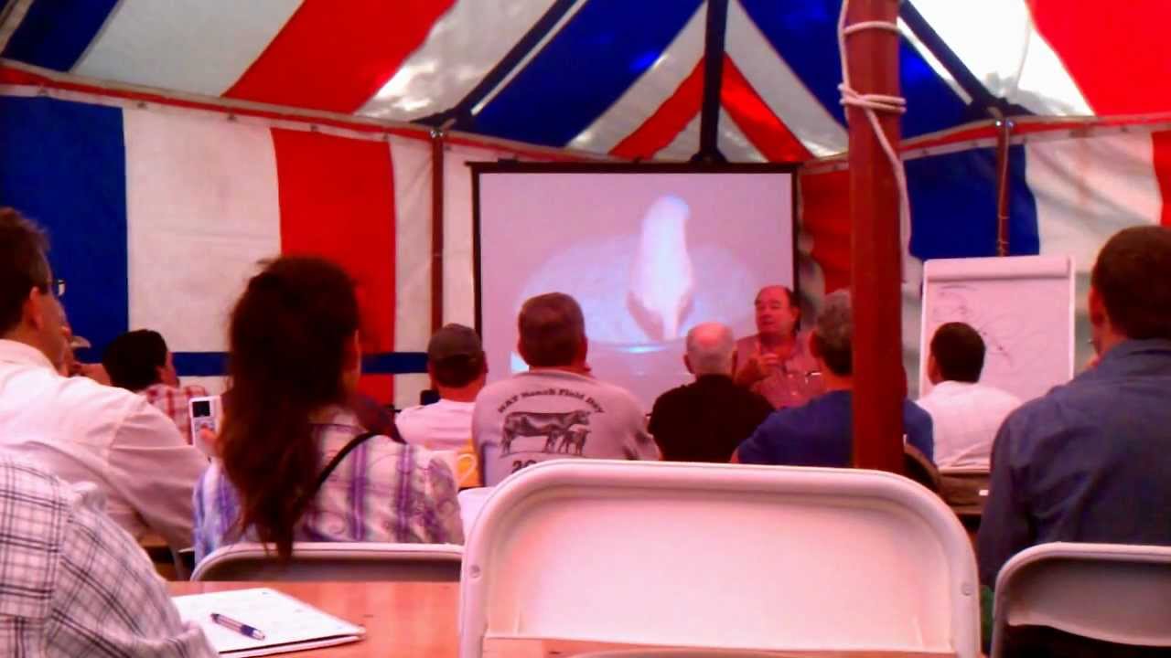Ian Mitchell-Innes: Managing chaos, manage for what you want, not treating symptoms