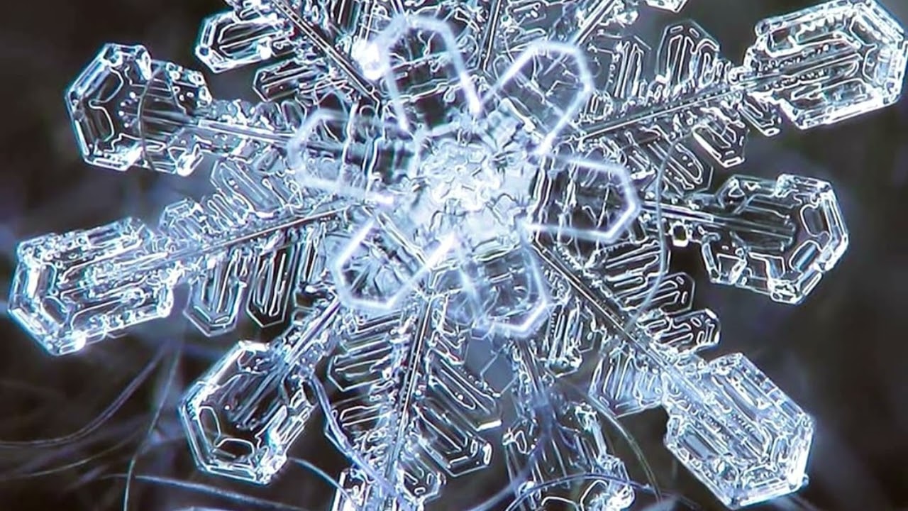 100 Seconds of Snowballs 