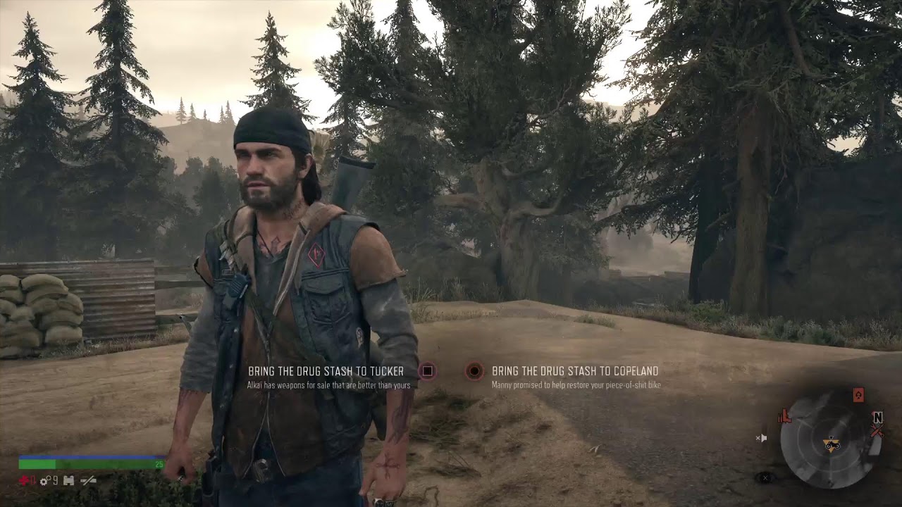 Days Gone #3
