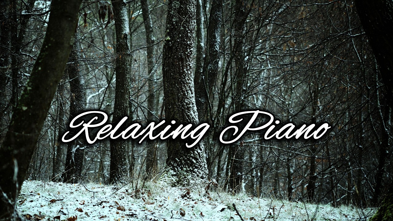Relaxing Music to Quiet Your Mind 🌿Just Piano. Slow & Calm.
