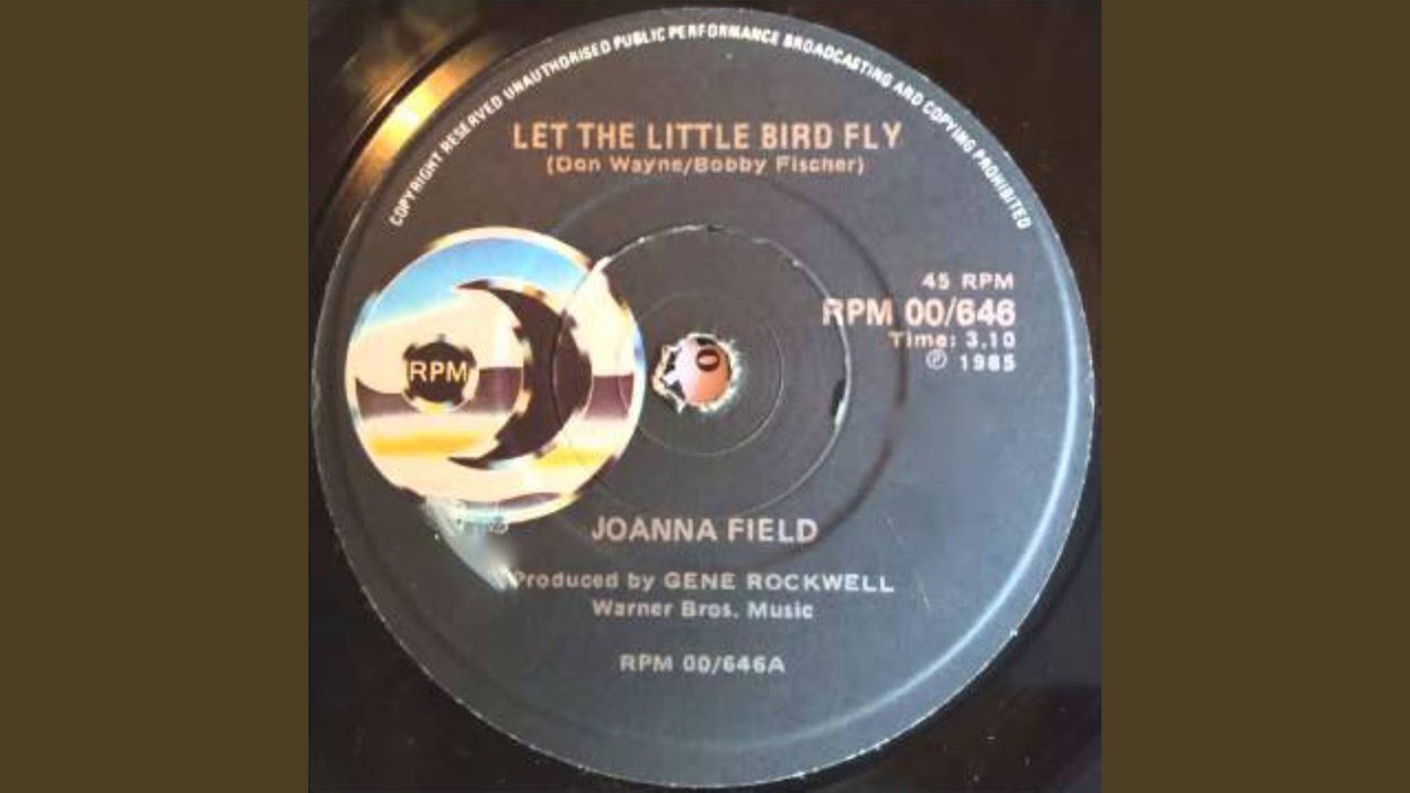Let the Little Bird Fly