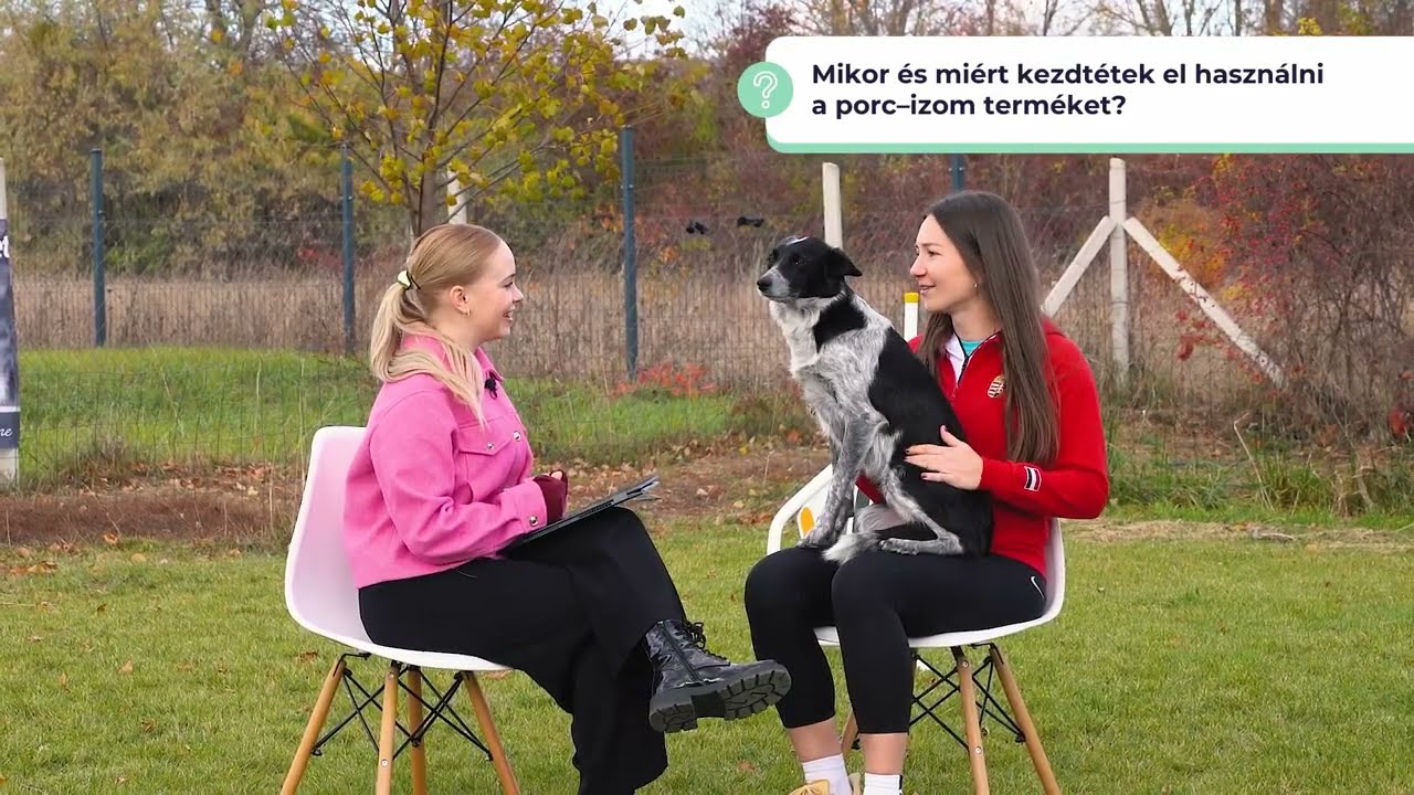 Ízületvédelem sportkutyáknak — Interjú az agility válogatottal