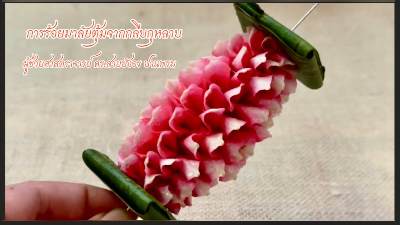 การร้อยมาลัยตุ้มจากกลีบกุหลาบ