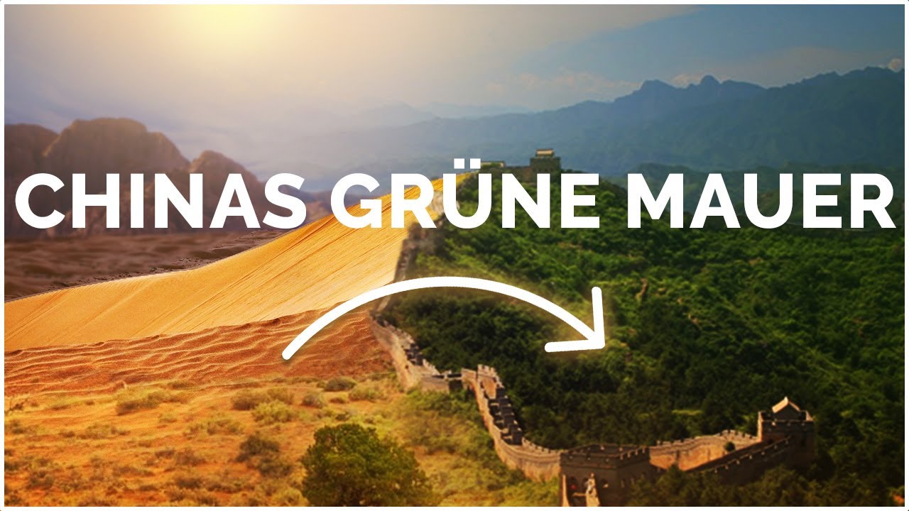 Warum China mehr Wald pflanzt als jedes andere Land