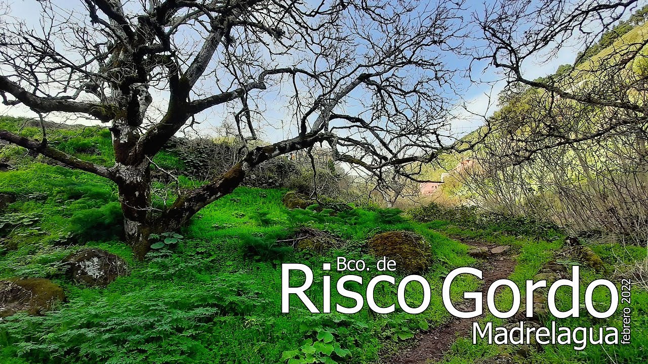 Bco. de RISCO GORDO - MADRELAGUA (comentado) (febrero 2022)