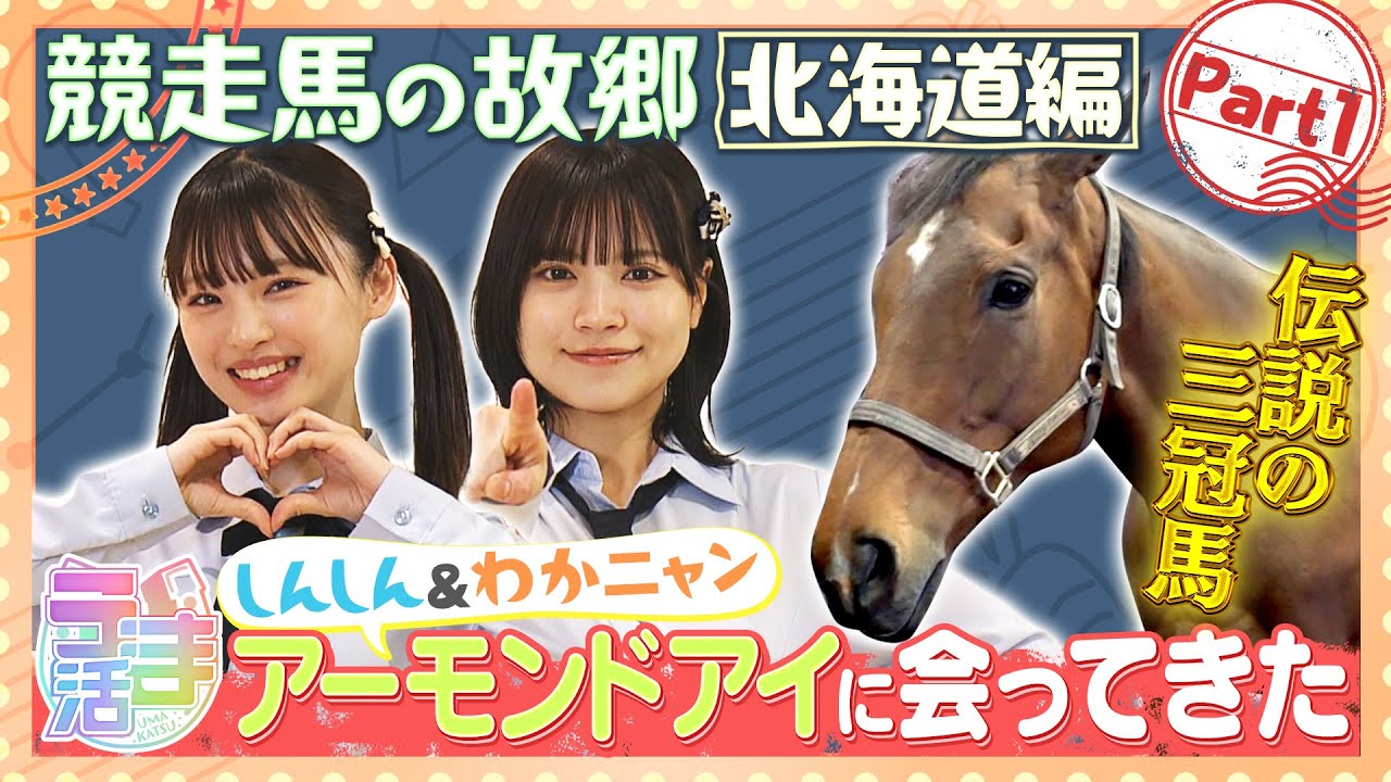【うま活】しんしん＆わかにゃん　アーモンドアイに会ってきた！【名場面・GW特別配信（2024年5月取材）】