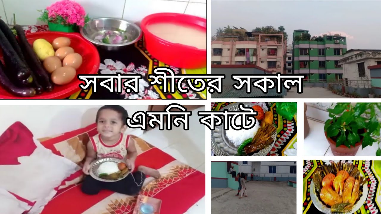 ✨সবার শীতের সকাল এমনি কাটে! 🔥Egg brinjal recipe 😋 Ruby Akther Lifestyle