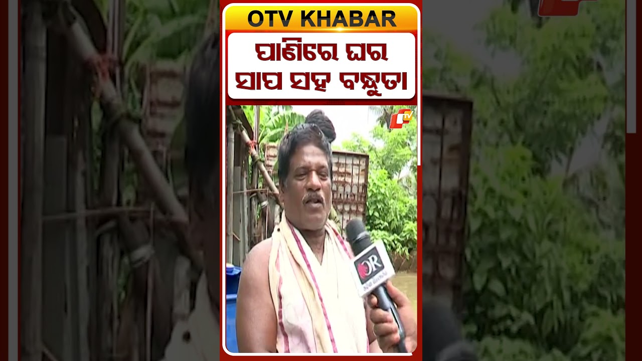 ପ୍ରତି ବର୍ଷା ହେଲେ ପାଣିରେ  ଘର କରିବା ସହ ସାପ,ବେଙ୍ଗ ସହ ରହିବାକୁ ପଡେ  #OTVShorts