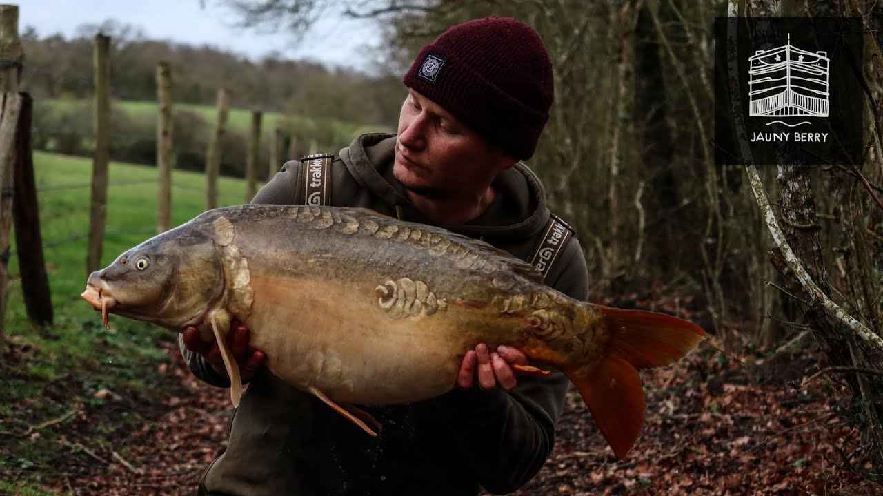 PECHE RAPIDE de la Carpe pendant la montée des eaux.