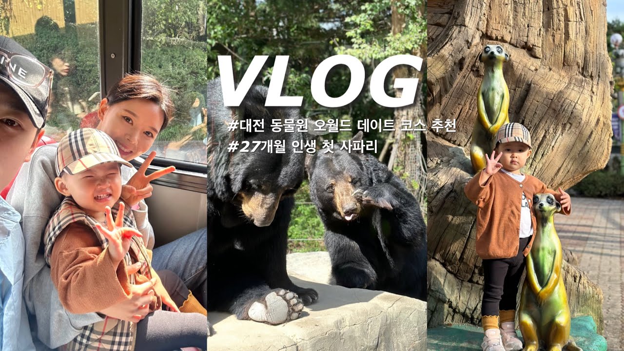 육아 VLOG | 27개월 인생 첫 사파리🐻 | 대전 동물원 오월드 데이트코스 추천⭐️