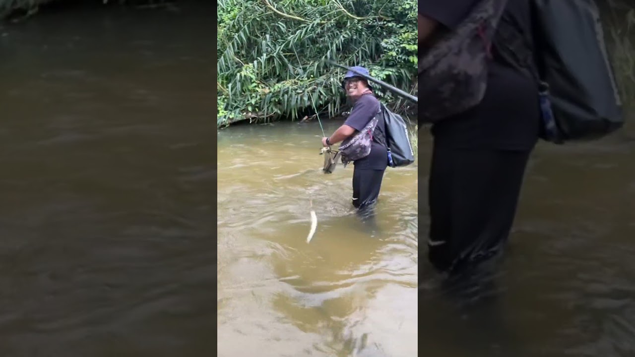 Double Strike Sebarau ! #abugarciaforlife #streamfishingmalaysia  #uglystik