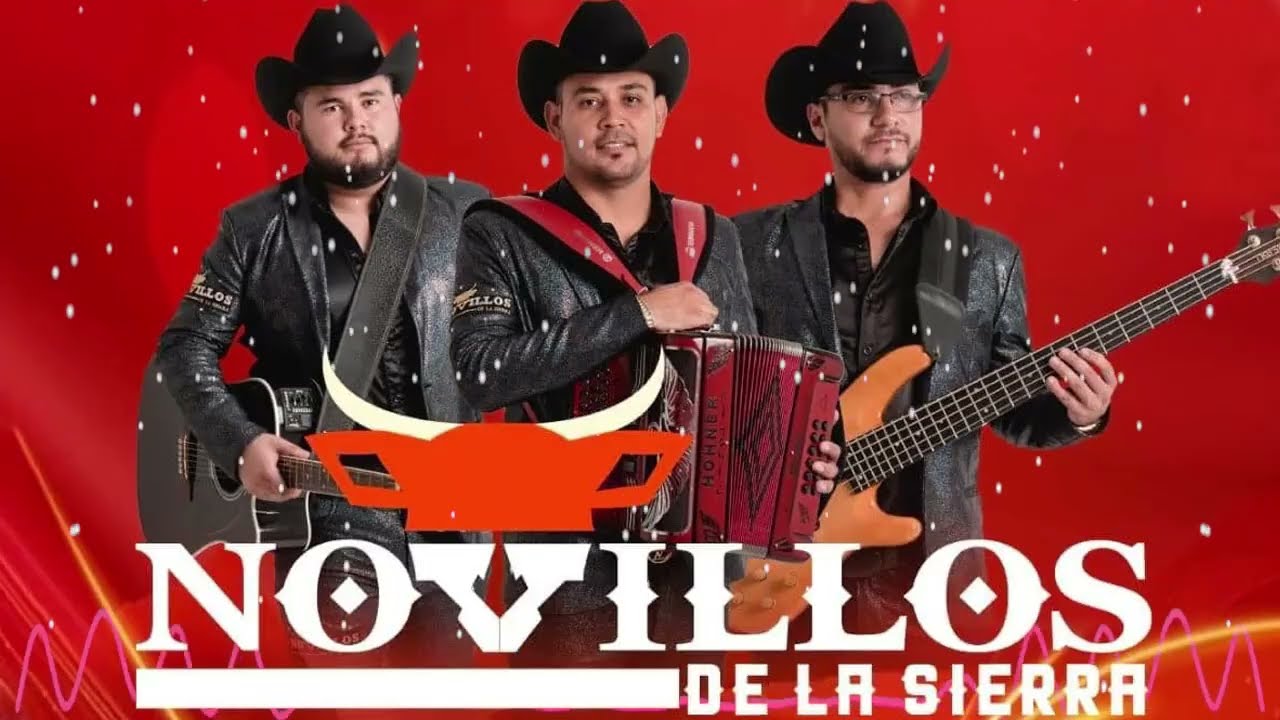 Novillos Dela Sierra Mix Corrido Nuevos Mix 2025 - Lo Mejor De Novillos Dela Sierra
